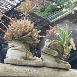 chaussures pot de fleur